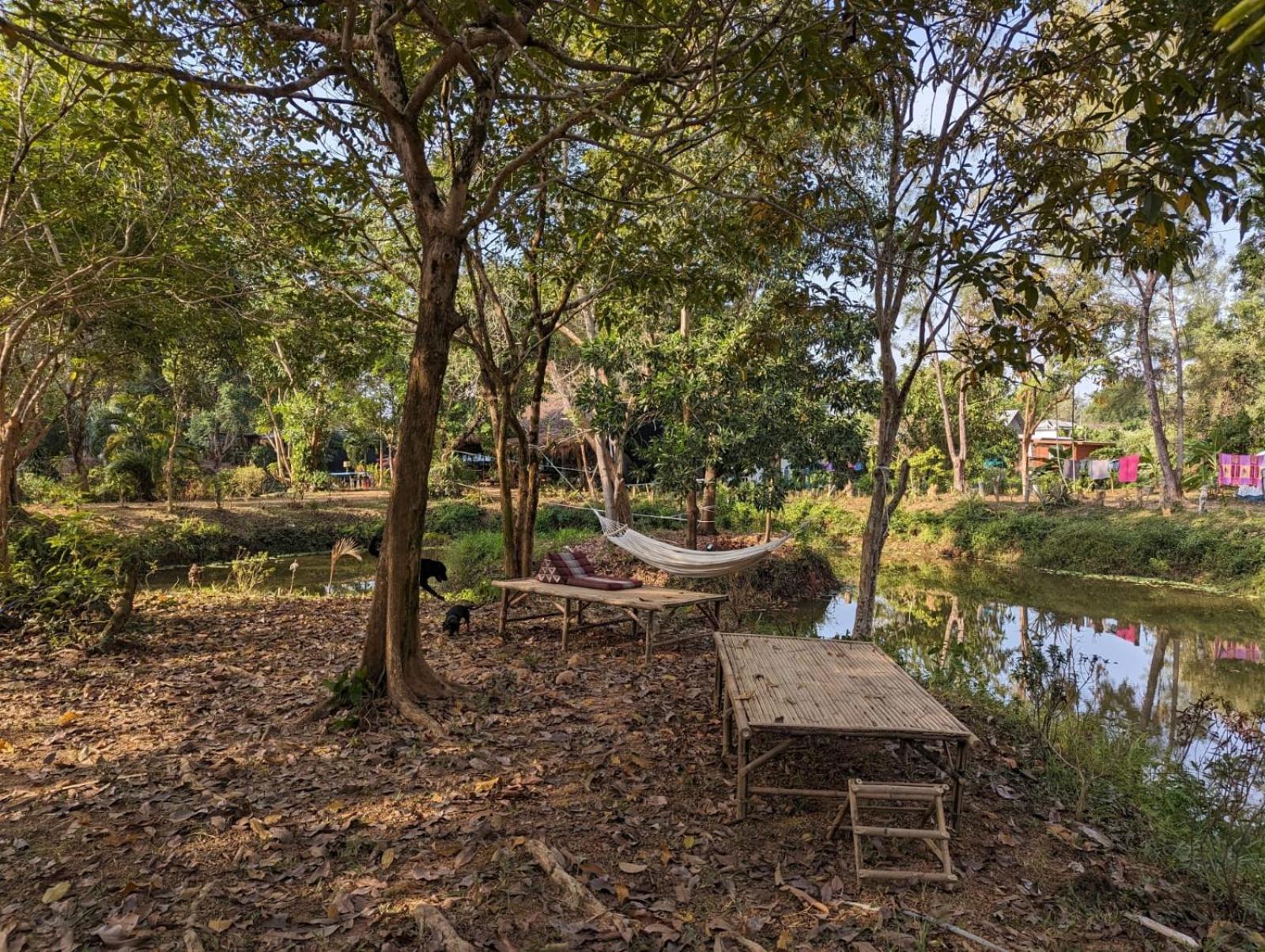 The River Retreat Koh Mak Eksteriør billede